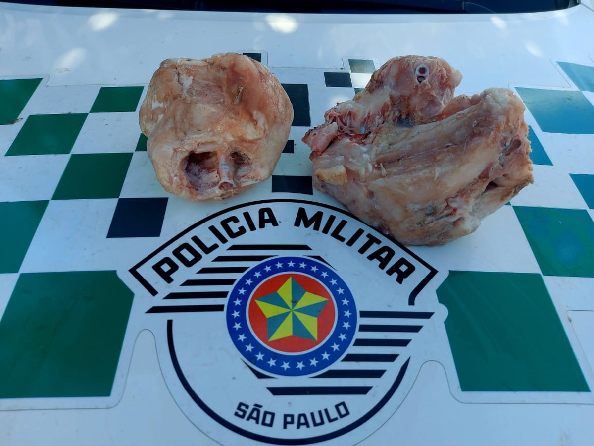 Homem é multado em mais de R$ 2,3 mil e ainda responderá criminalmente por armazenar carne de jacaré em freezer, em Sandovalina