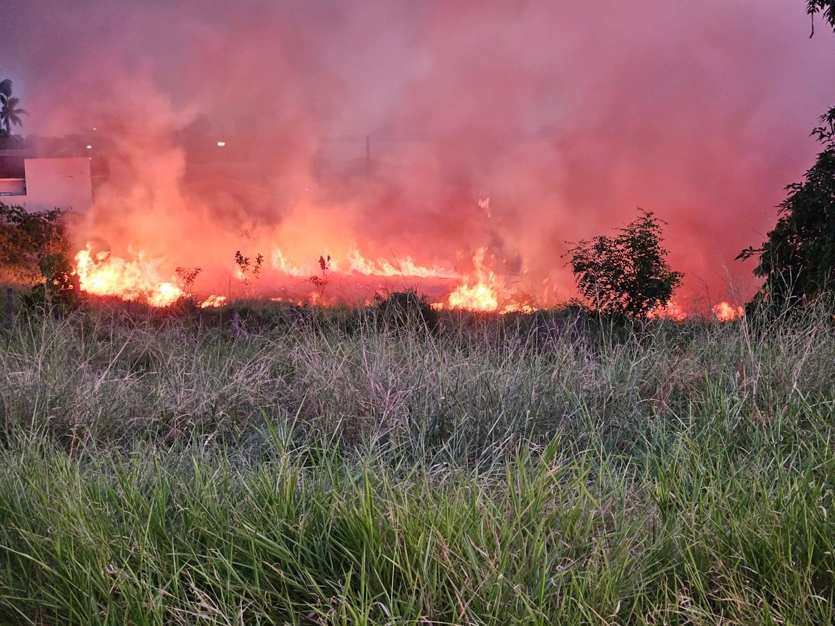 Incêndio de grandes proporções atinge área de vegetação de 12 mil m², em Dracena