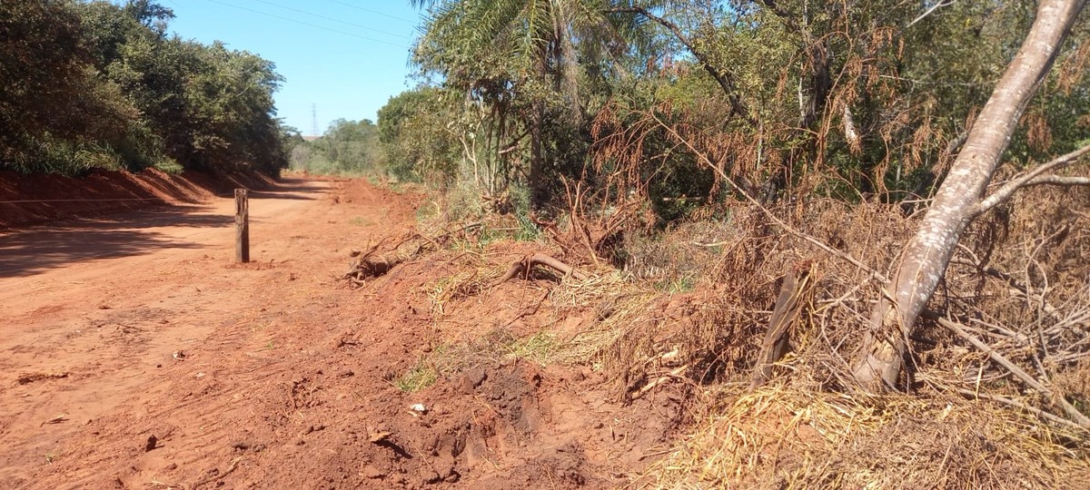 Homem é multado em mais de R$ 3 mil após destruir vegetação nativa para manutenção de estrada rural, em Presidente Venceslau | Presidente Prudente e Região