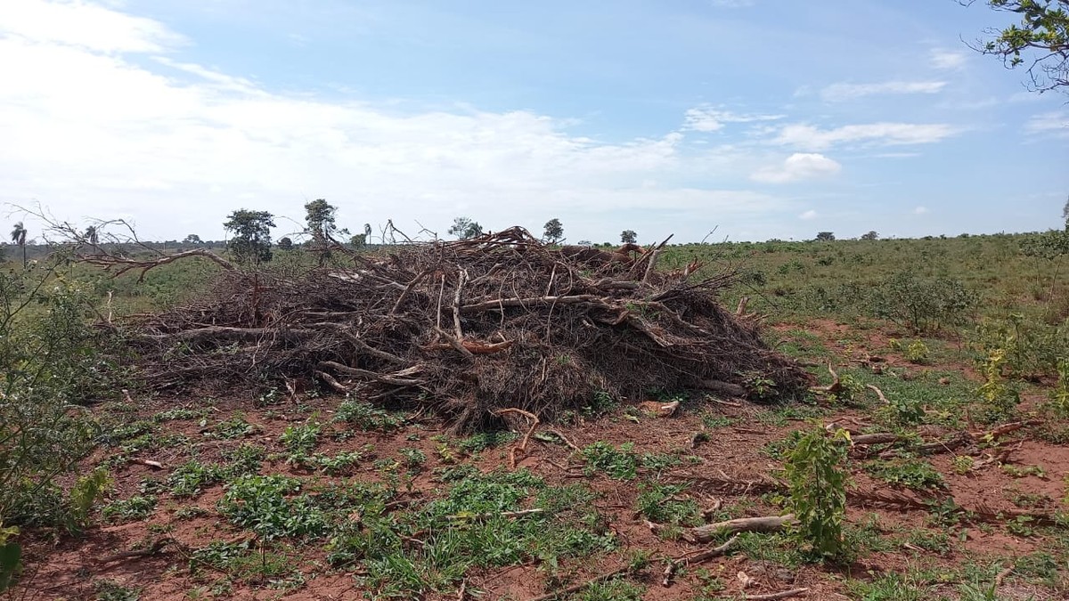 Imagens de satélite identificam devastação de vegetação nativa em mais de 12 hectares e fazendeiro é multado em R$ 68,3 mil | Presidente Prudente e Região