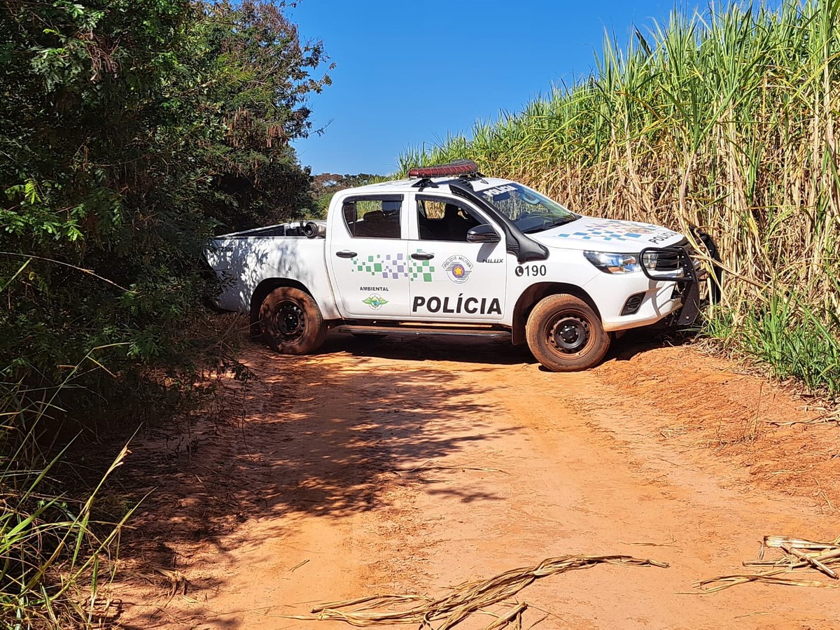 Operação Huracán vistoria canaviais para reduzir focos de incêndio durante período de estiagem no Oeste Paulista | Presidente Prudente e Região