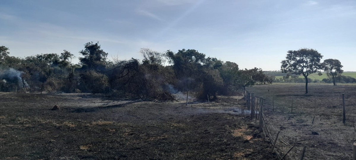 Após homem atear fogo em lixo, chamas se alastram e destroem 90 mil m² de área de vegetação em Martinópolis