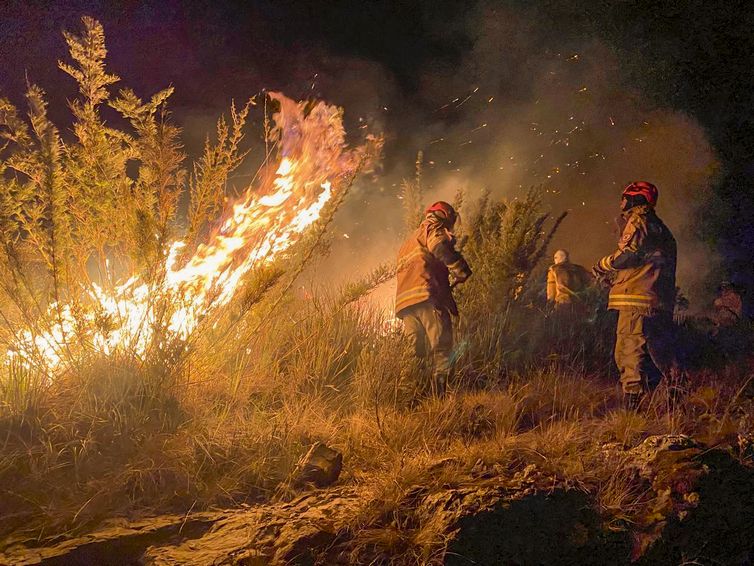 Rio de Janeiro (RJ) 16/06/2024 - Incêndio do Parque Nacional de Itatiaia.
Foto: Corpo de Bombeiros RJ/Divulgação