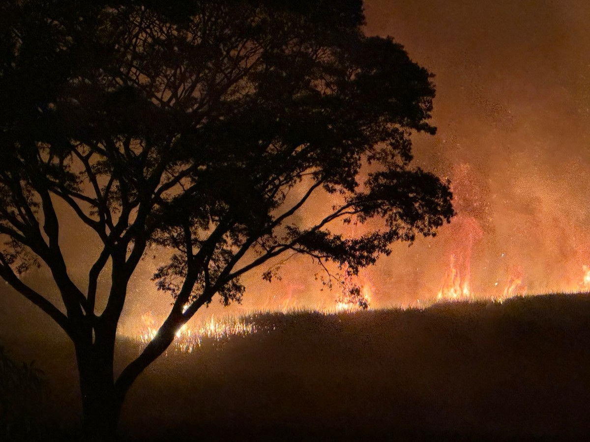 Incêndio atinge canavial e leva mais de seis horas para ser controlado em Santa Mercedes