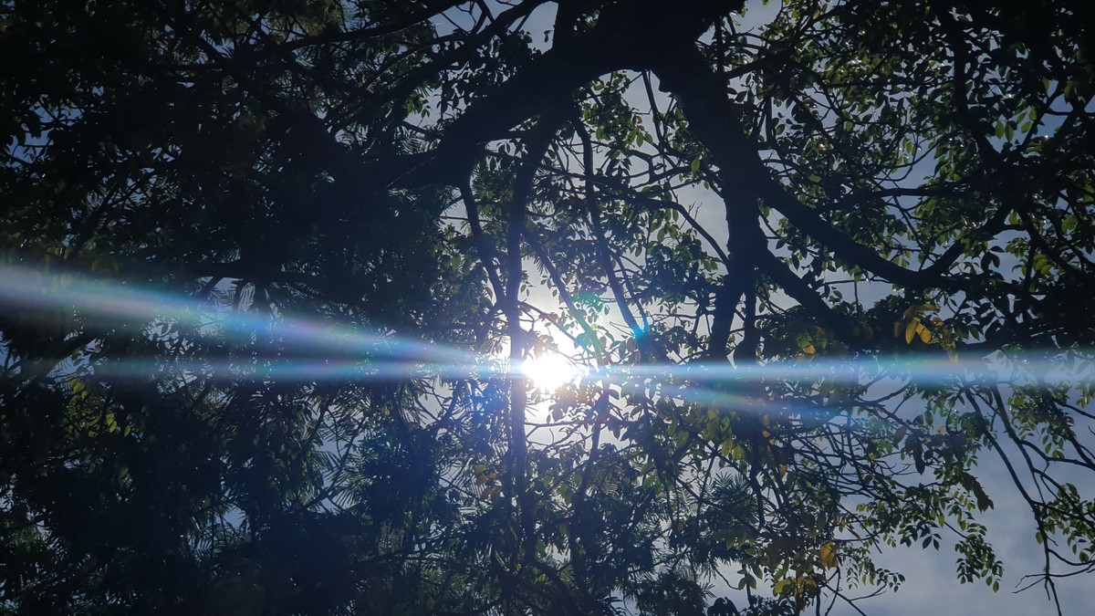 Com temperaturas altas, inverno seco 'será um dos piores dos últimos anos' e terá 'consequências graves' no Oeste Paulista, alerta climatologista