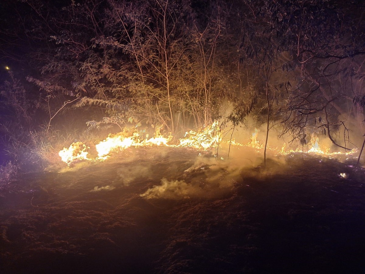 Incêndio de grandes proporções atinge vegetação rasteira e Área de Preservação Permanente, em Martinópolis