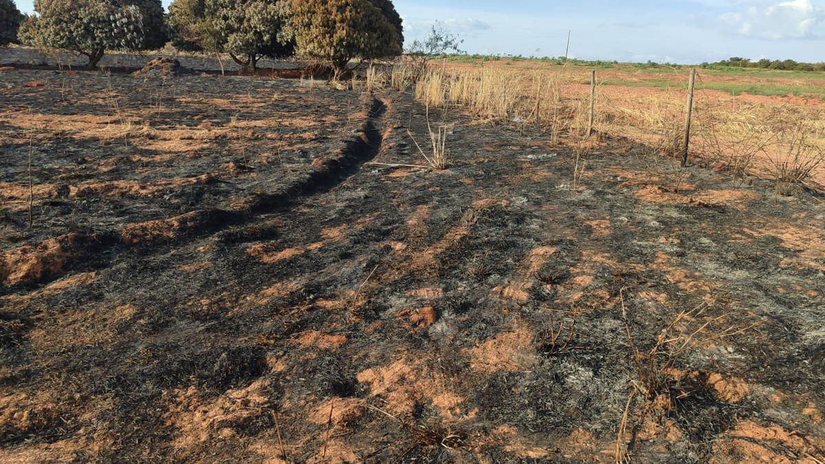 Sitiante acaba multado em R$ 1,5 mil após atear fogo em lixo e perder controle das chamas, que atingem área de pastagem