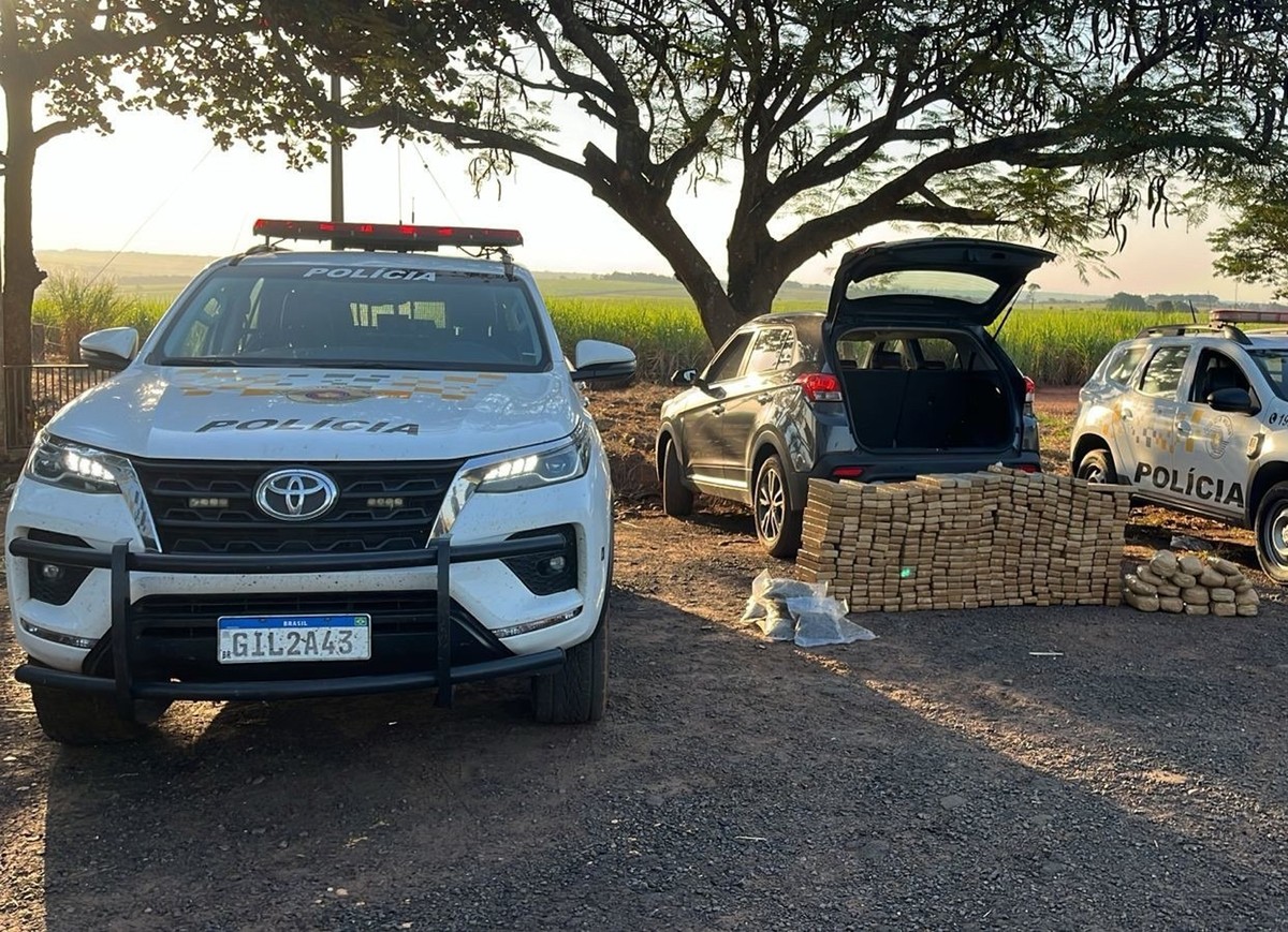 Motorista abandona carro com mais de 300kg de drogas e embrenha-se em canavial para escapar da prisão em flagrante | Presidente Prudente e Região