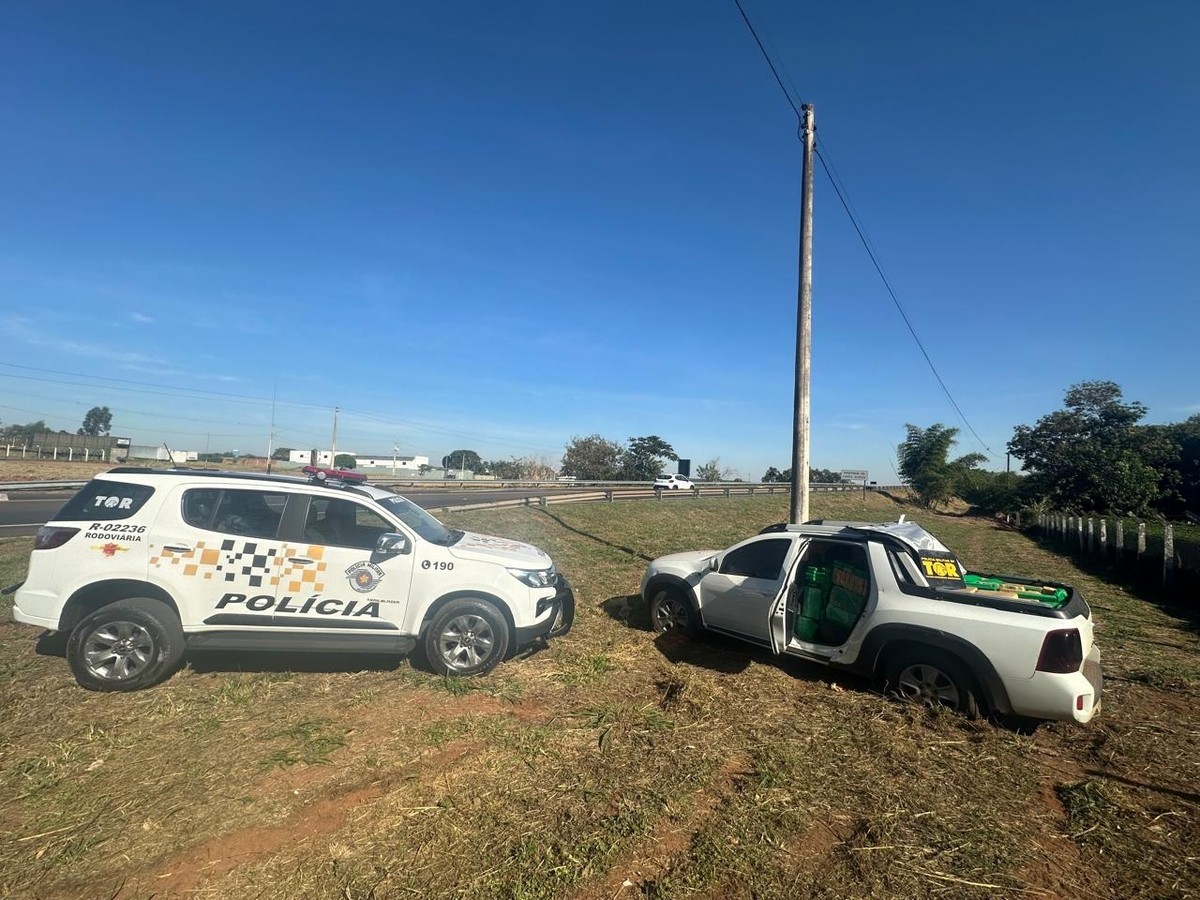 Motorista tenta escapar de abordagem policial, mas acaba preso com picape lotada de mais de 800kg de maconha | Presidente Prudente e Região