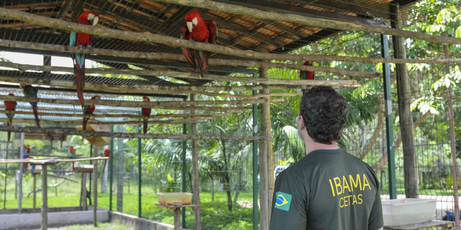 Servidores ambientais federais aprovam greve em 17 estados e no DF