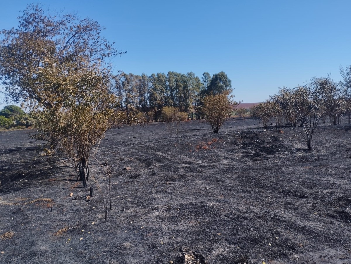 Sitiante recebe multa de R$ 8,5 mil por atear fogo em quatro hectares de vegetação, em Rosana | Presidente Prudente e Região