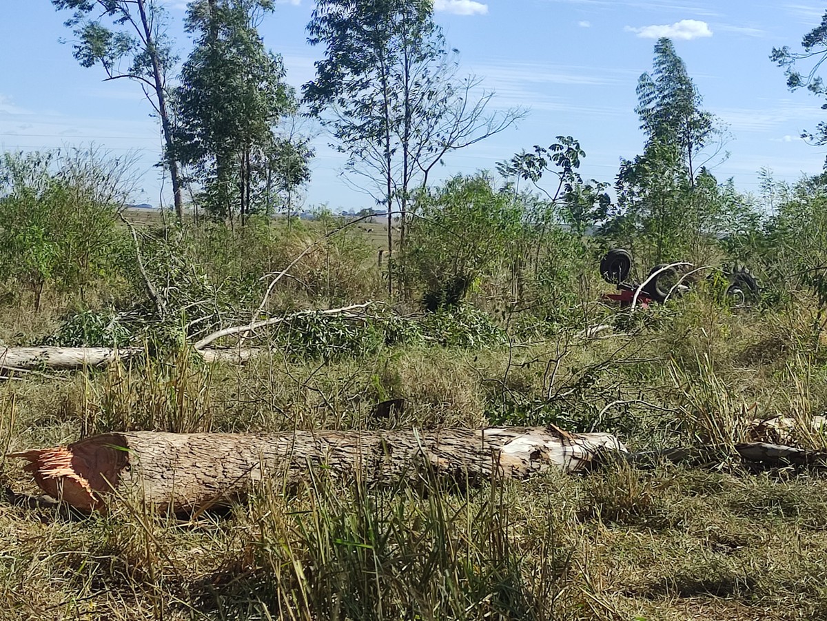 Tombamento de trator durante derrubada de eucalipto em propriedade rural mata ex-vereador em Santo Anastácio | Presidente Prudente e Região