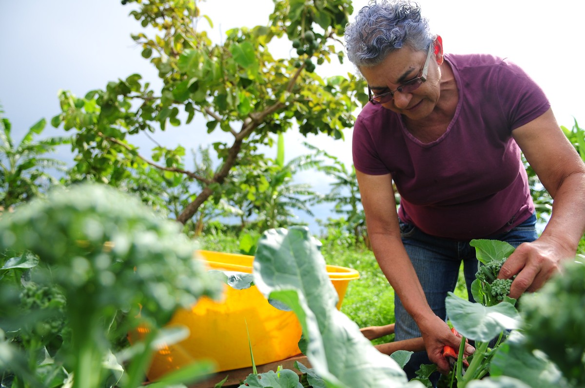 Comissão Semeadoras do Agro realiza encontro para troca de experiências e estímulo ao empreendedorismo entre produtoras rurais