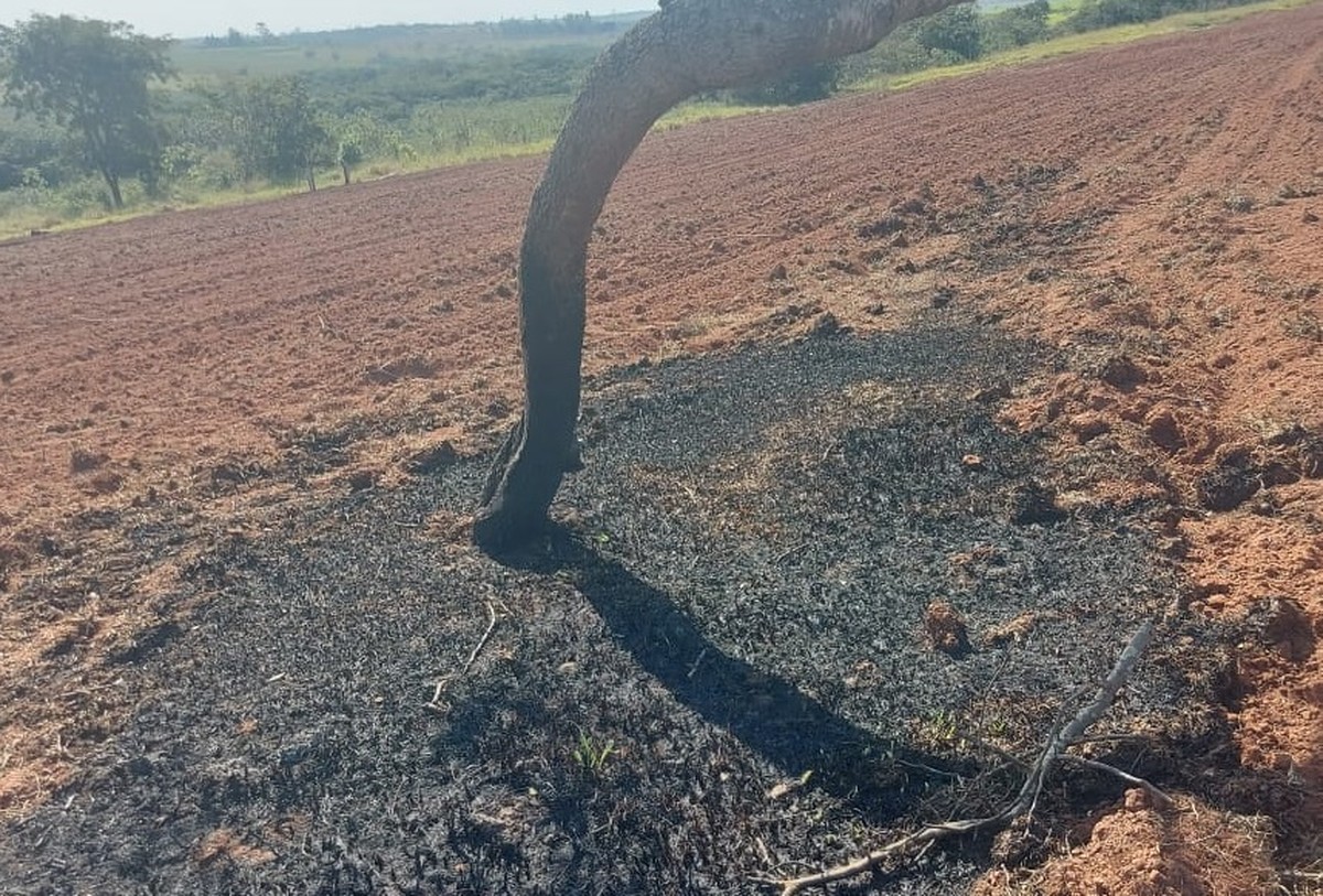 Sitiante é multado em mais de R$ 22,6 mil por uso de fogo em vegetação, em Sandovalina