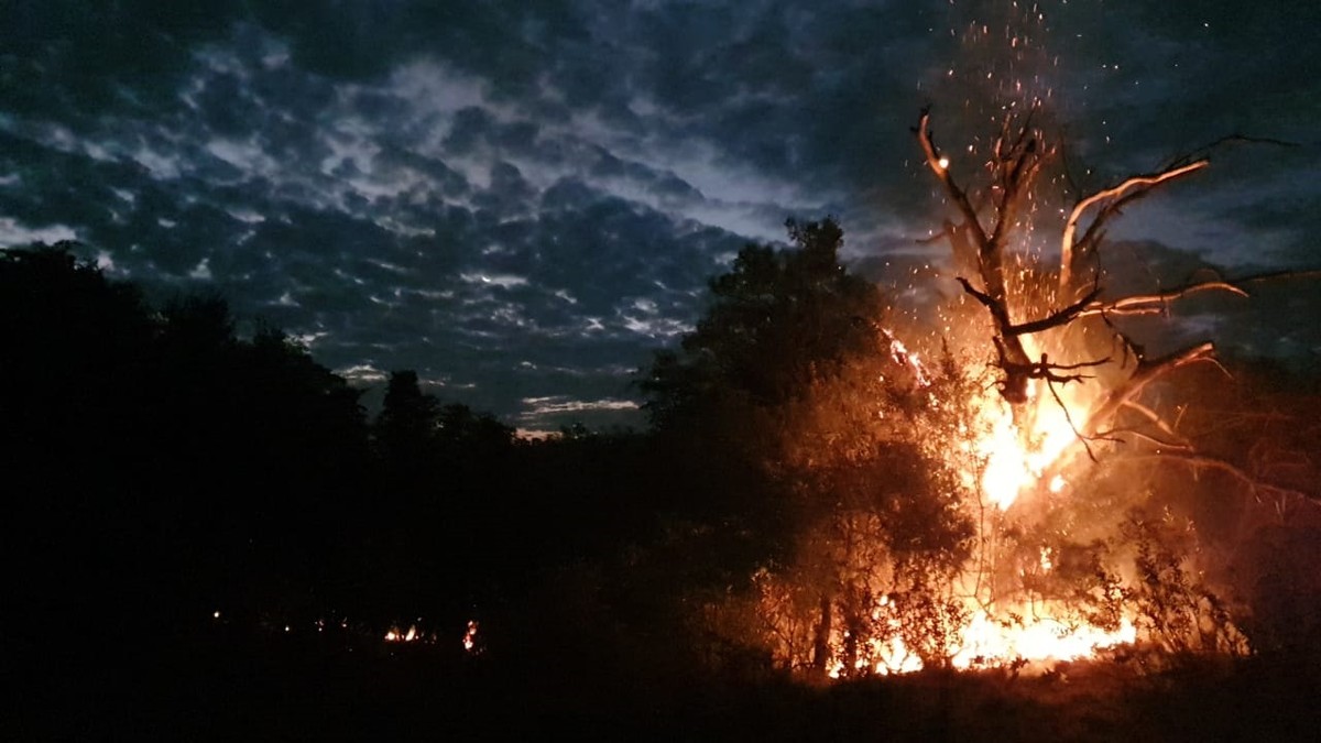 Incêndio atinge área de vegetação no bairro Jardim Humberto Salvador; suspeita é de que adolescentes iniciaram as chamas