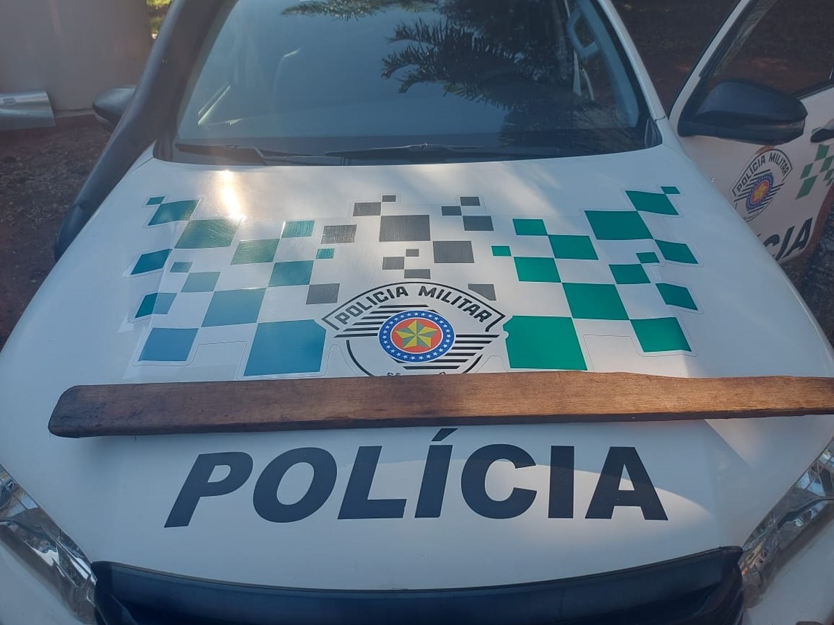 Tutor confessa ter matado cachorro a pauladas porque animal não conseguia mais andar nem se alimentar, diz Polícia Ambiental