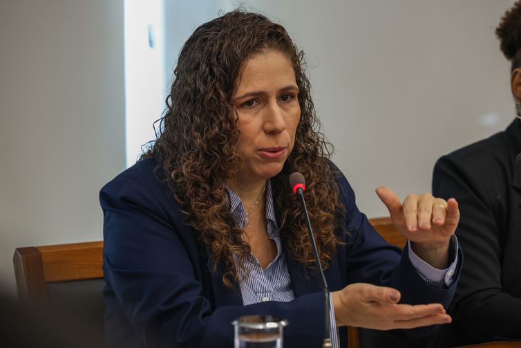 José Cruz/Agência Brasil Brasília (DF) 04/07/2024 – Ministra da Gestão e Inovação em Serviços Públicos, Esther Dweck, durante entrevista coletiva, para anunciar o novo cronograma do Concurso Público Nacional Unificado (CPNU).
Foto: Jose Cruz/Agência Brasil