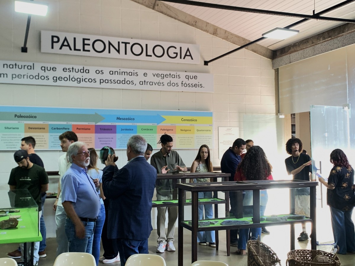 Com acervo rico em fósseis, Museu de Paleontologia é inaugurado em Presidente Prudente | Presidente Prudente e Região