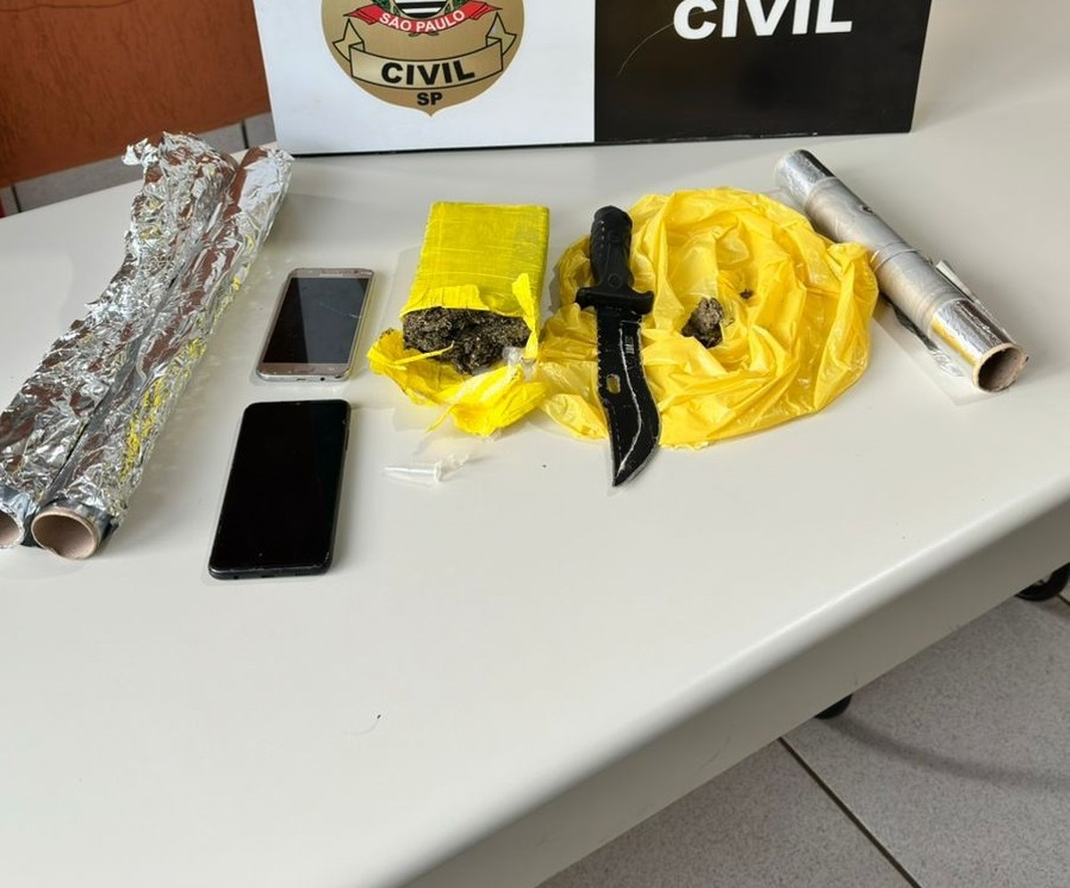 Com objetivo de combater o tráfico de drogas, Polícia Civil cumpre quatro mandados de busca e apreensão em Sandovalina | Presidente Prudente e Região