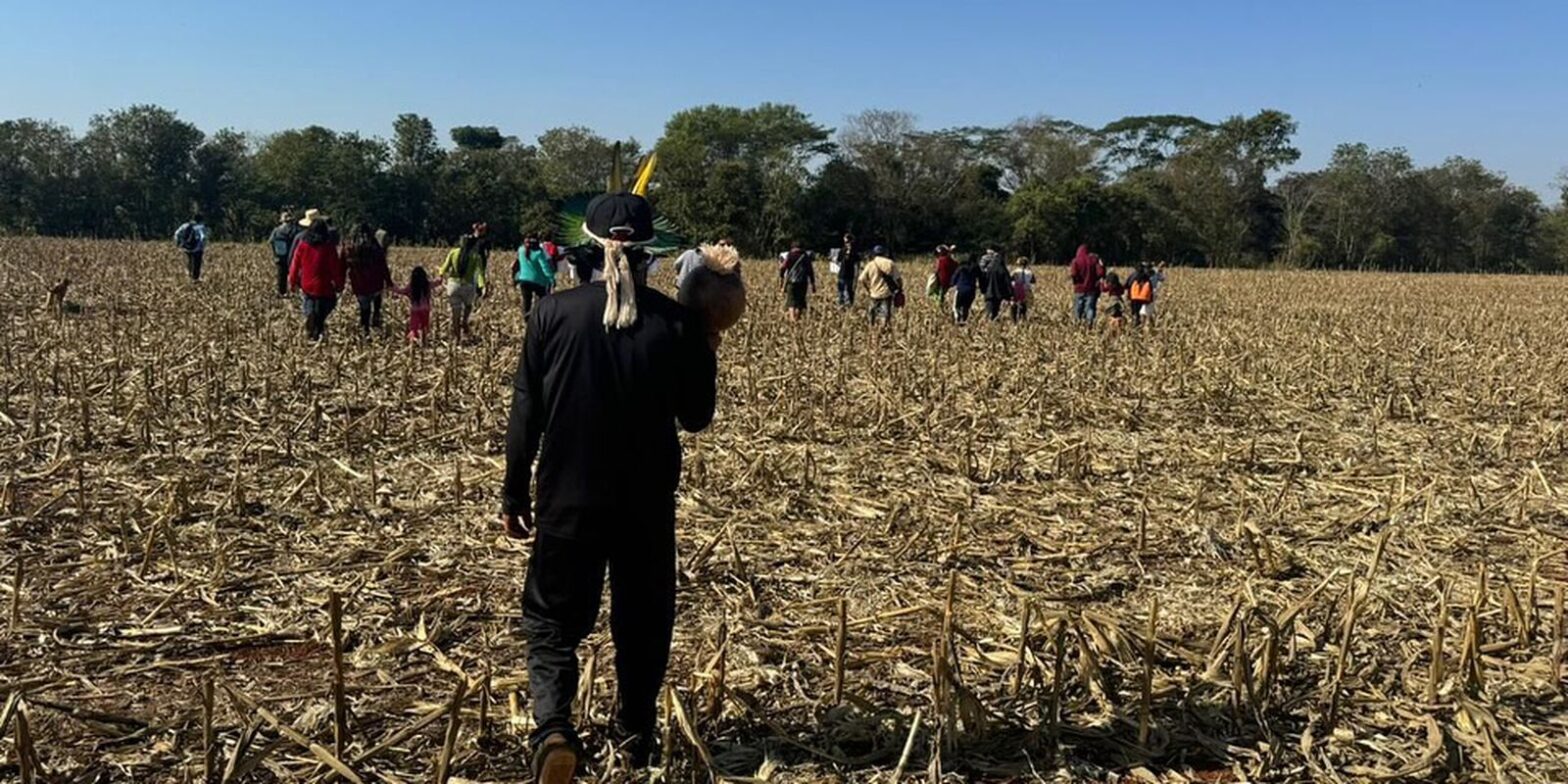 Fazendeiros armados perseguem e ferem indígenas avá-guarani