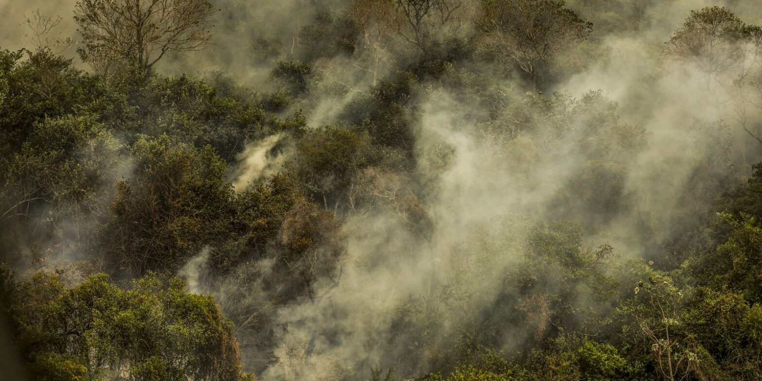 Três onças foram encontradas mortas devido ao fogo no Pantanal