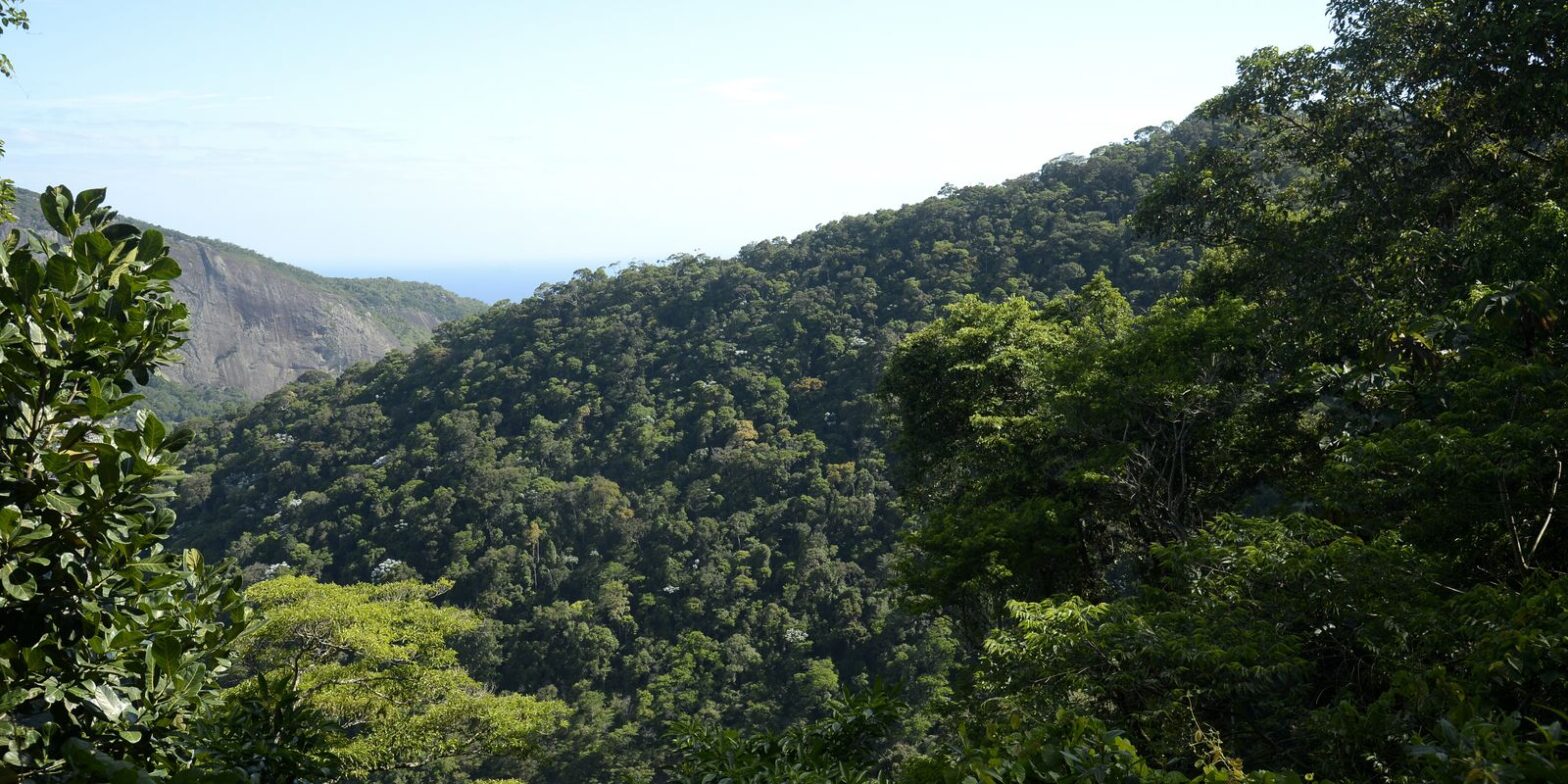 Propostas para o Plano Clima serão debatidas nos biomas brasileiros