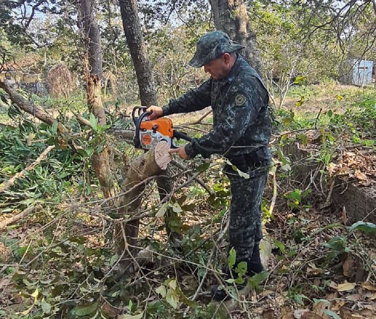 Dupla é flagrada cortando árvore com motosserra em Área de Preservação Permanente e equipamento acaba apreendido