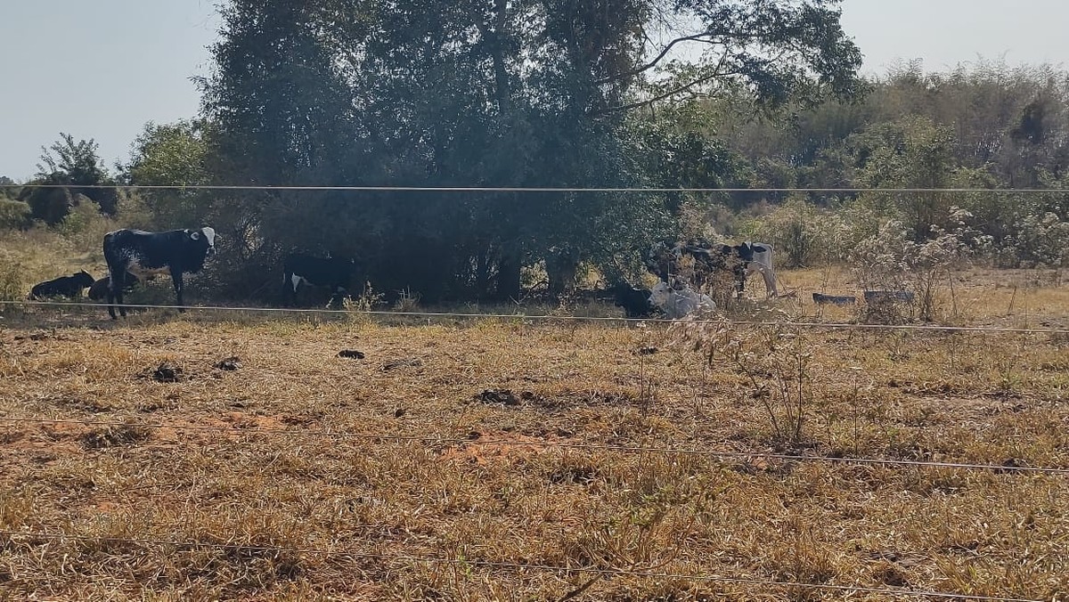 Polícia Ambiental multa sitiantes em mais de R$ 57 mil por degradações ambientais em Emilianópolis