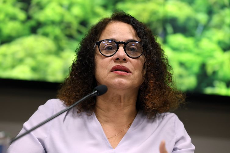 Brasília, (DF), 07.08.2024 - A ministra da Ciência, Tecnologia e Inovações, Luciana Santos durante divulgação dos dados de alertas de desmatamento do sistema Deter, do Inpe, na Amazônia e no Cerrado de agosto de 2023 a julho de 2024. Foto: Valter Campanato/Agência Brasil