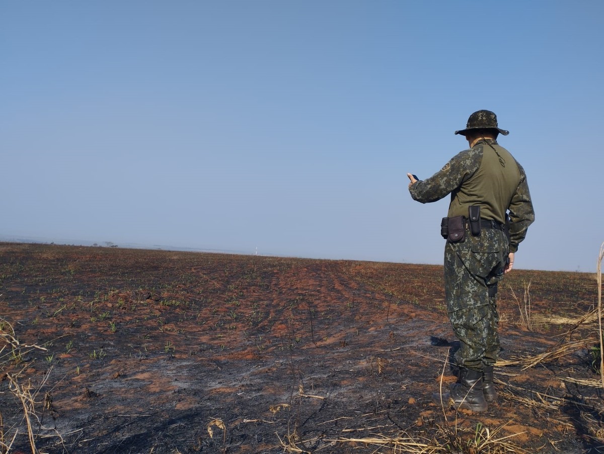 Homem perde o controle de fogo em lixo e incêndio destrói quase 70 hectares de pastagens em fazendas em Rosana