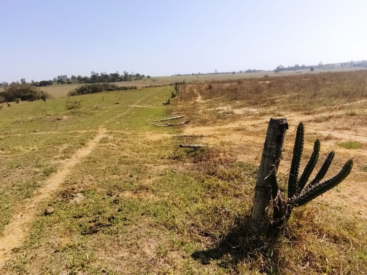 Oito assentados são multados em R$ 34,7 mil por intervenções em área de reserva legal, em Iepê