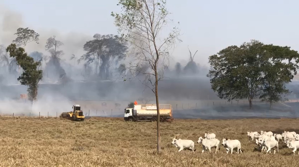 Incêndio de grandes proporções em vegetação atinge municípios da Nova Alta Paulista e moradores passam mal devido à fumaça