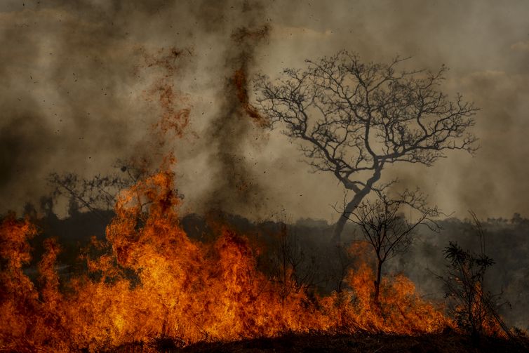 Brasília (DF), 24/08/2024 - Brigadistas do Instituto Brasília Ambiental e Bombeiros do Distrito Federal combatem incêndio em área de cerrado próxima ao aeroporto de Brasília. Foto: Marcelo Camargo/Agência Brasil