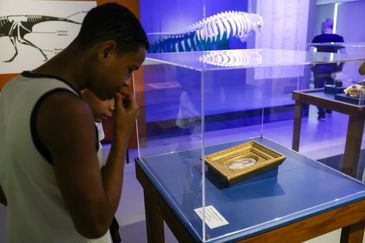 Rio de Janeiro (RJ), 29/08/2024 – Museu Nacional inaugura novo espaço com a exposição “Um Museu de Descobertas”, em São Cristóvão, zona norte da capital fluminense. Foto: Tomaz Silva/Agência Brasil