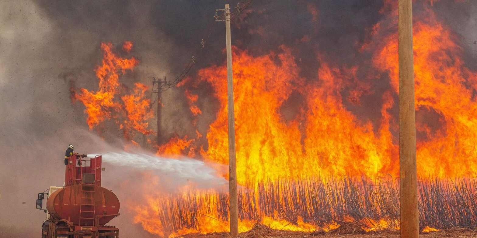 Mais de 80% dos focos de calor em SP estão em áreas de agropecuária