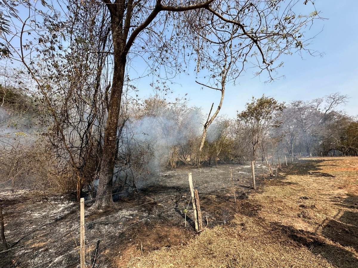 Incêndio de grandes proporções atinge dois bairros e uma Área de Preservação Permanente, em Dracena