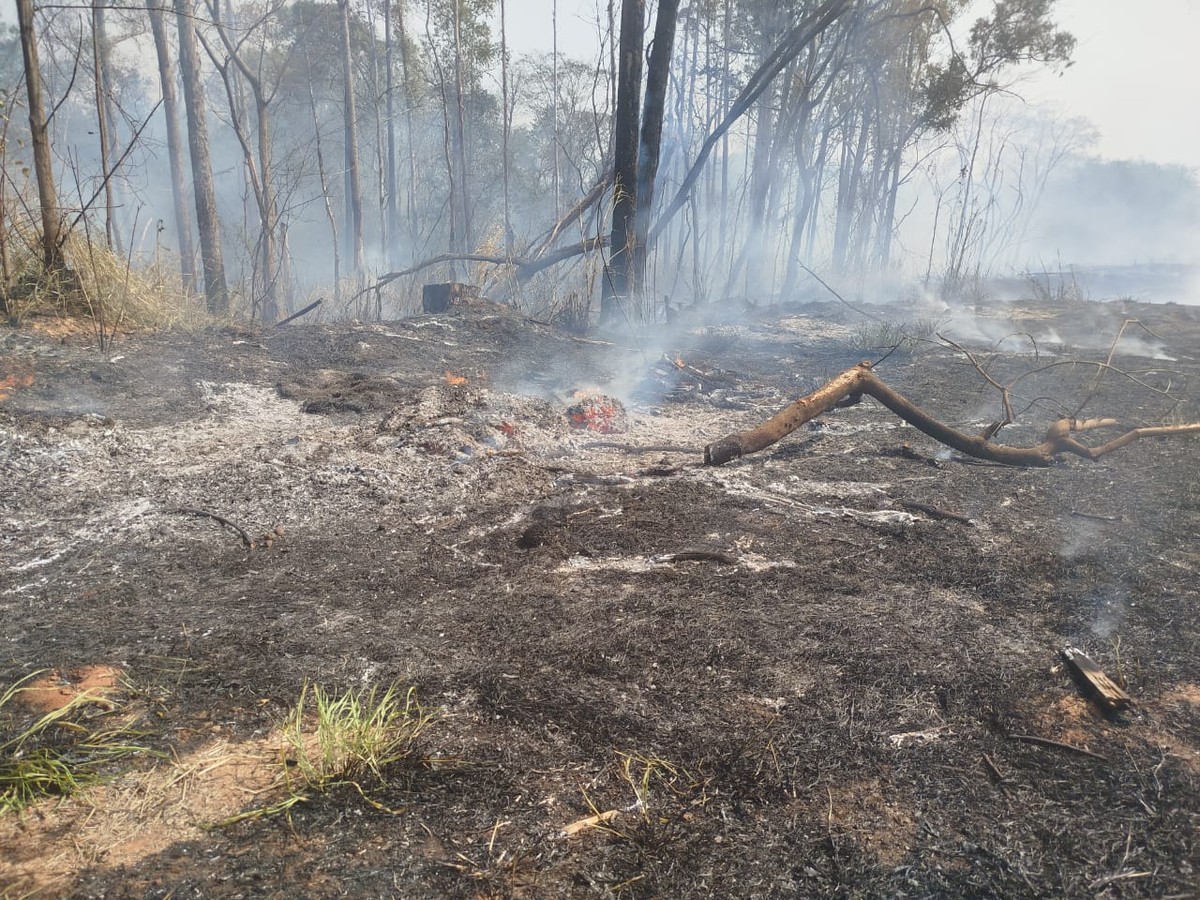 Incêndio atinge terreno baldio e se alastra até mata localizada aos fundos de escola municipal no Jardim Mediterrâneo