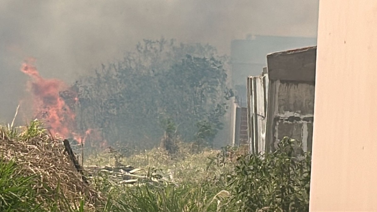 Incêndio volta a atingir área da Mata do Furquim em Presidente Prudente