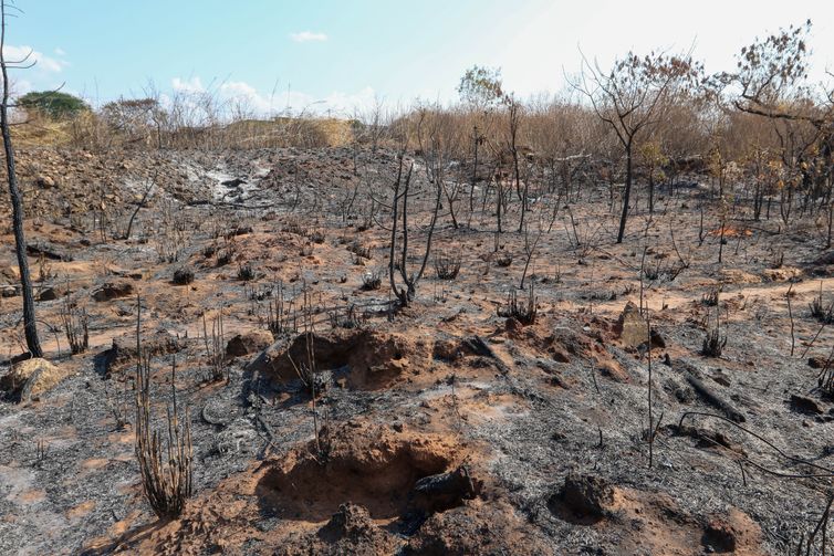 Brasília (DF), 18/09/2024 - O guardião da Casa de Cerimônias Indígenas Bahsakewi'í, Álvaro tucano fala sobre incendio no Setor Noroeste em Brasília. Foto: Wilson Dias/Agência Brasil