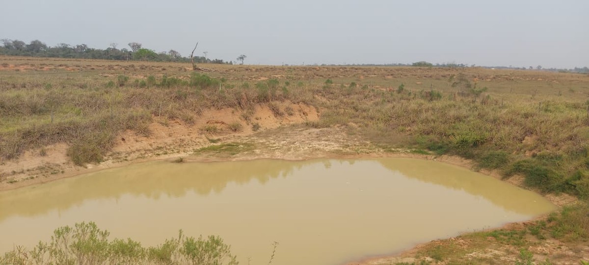 Fazendeira é multada em mais de R$ 2 mil por construir represa em Área de Preservação Permanente, em Presidente Bernardes | Presidente Prudente e Região