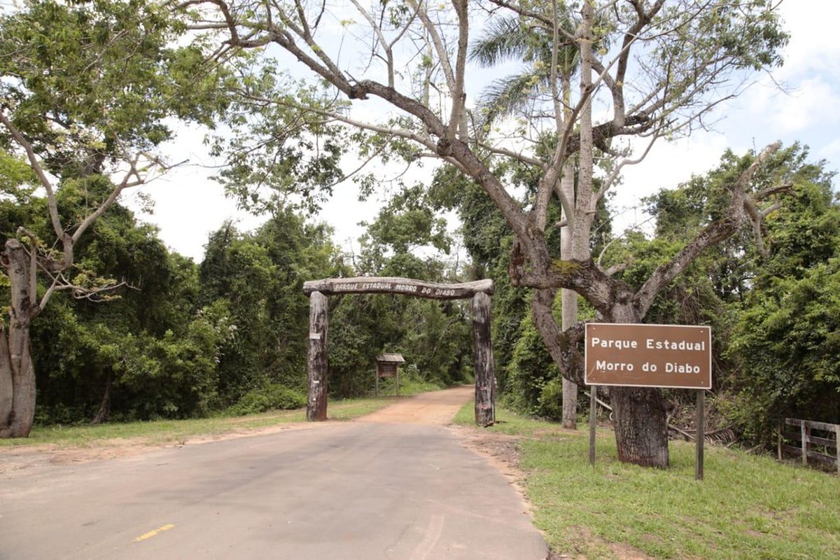 Parques Estaduais no Oeste Paulista reabrem para visitação após mais de 20 dias fechados devido a alto risco de incêndio | Presidente Prudente e Região