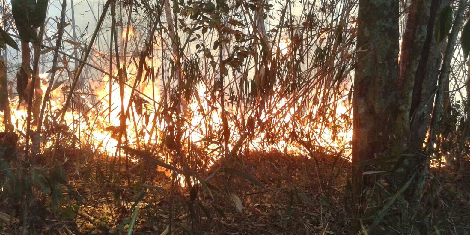 Polícia do Rio realiza operações contra suspeitos de causar incêndios