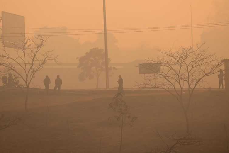 Brasília (DF) 16/09/2024 A capital amanheceu coberta de fumaça causada pelo incêndio no Parque Nacional de Brasília Foto: Fabio Rodrigues-Pozzebom/ Agência Brasil