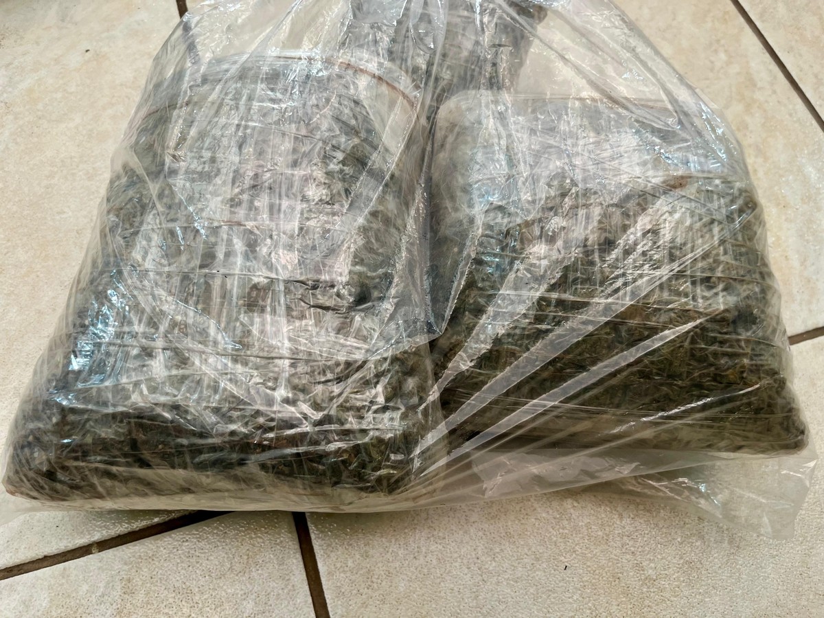 Mulher é presa com quase 200kg de maconha e porção de haxixe escondidos dentro de porta-malas de carro, em Osvaldo Cruz