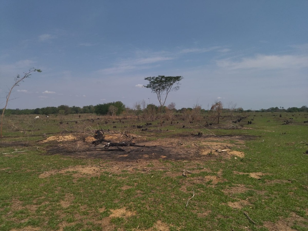 Homem é multado em mais de R$ 2,4 mil por uso de fogo em área agropastoril, em Pres. Epitácio
