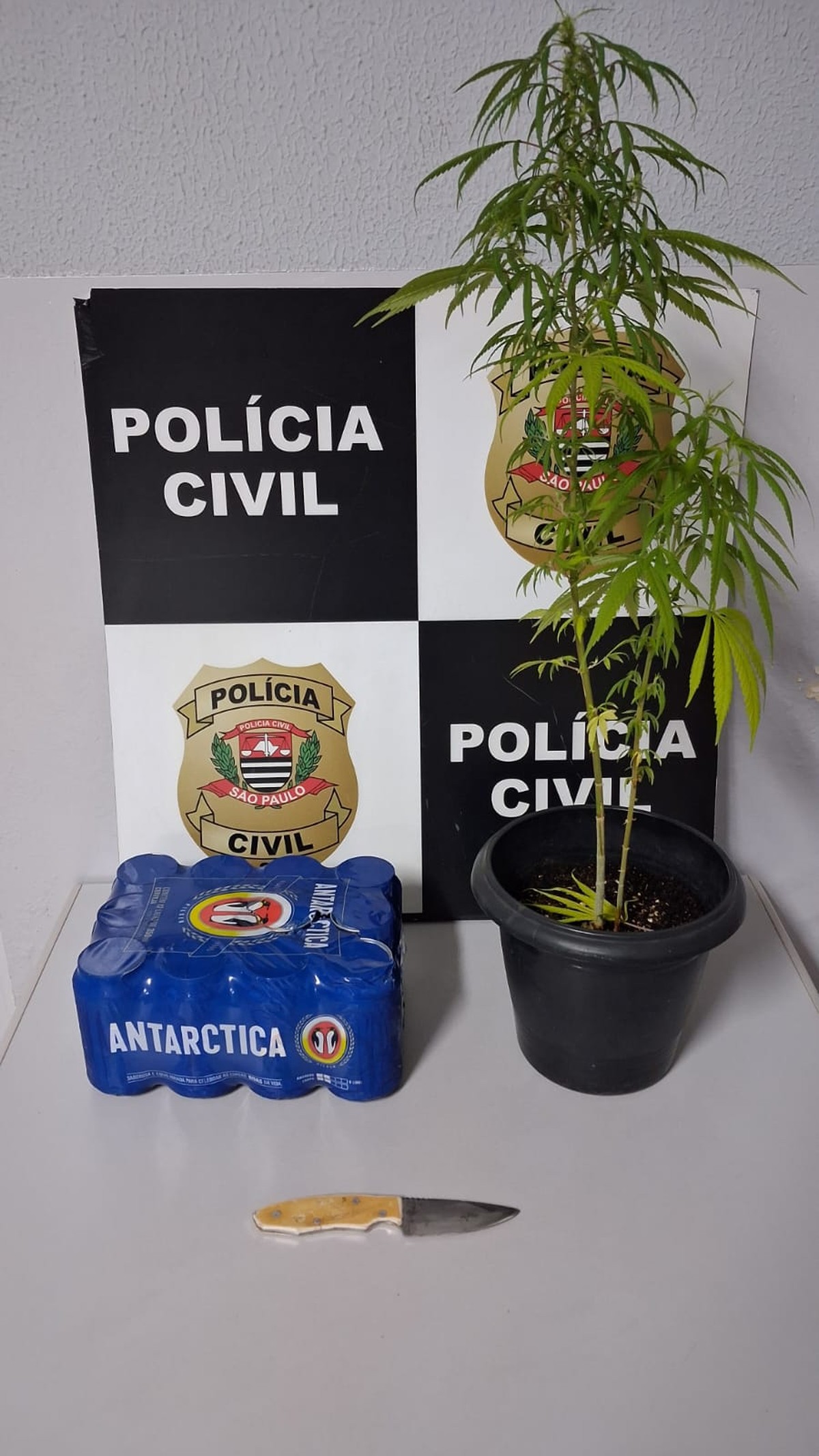 Mulher é presa após roubar fardo de cerveja de supermercado e agredir segurança com faca, em Presidente Prudente