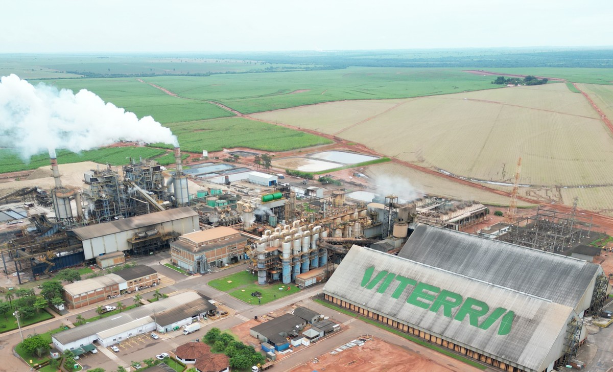 Agroindústria de cana-de-açúcar abre cadastramento de trabalhadores para unidade em Junqueirópolis | Presidente Prudente e Região