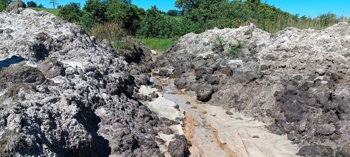 Arrendatário de sítio é multado em mais de R$ 47 mil por degradação de quase 10 hectares de APP em Sandovalina
