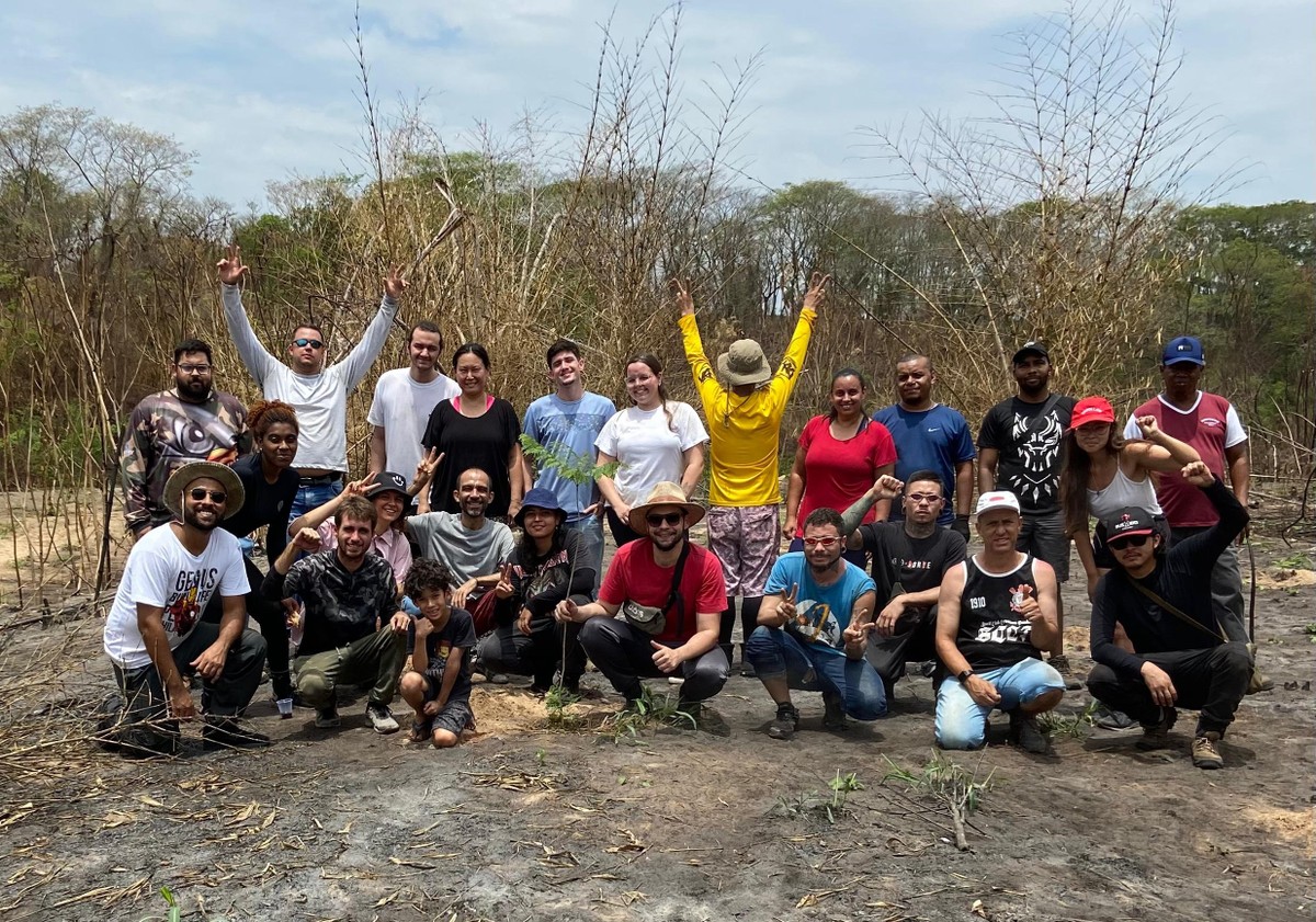 Projeto voluntário de reflorestamento atua na restauração ecológica de áreas degradadas por incêndio em Lucélia | Presidente Prudente e Região