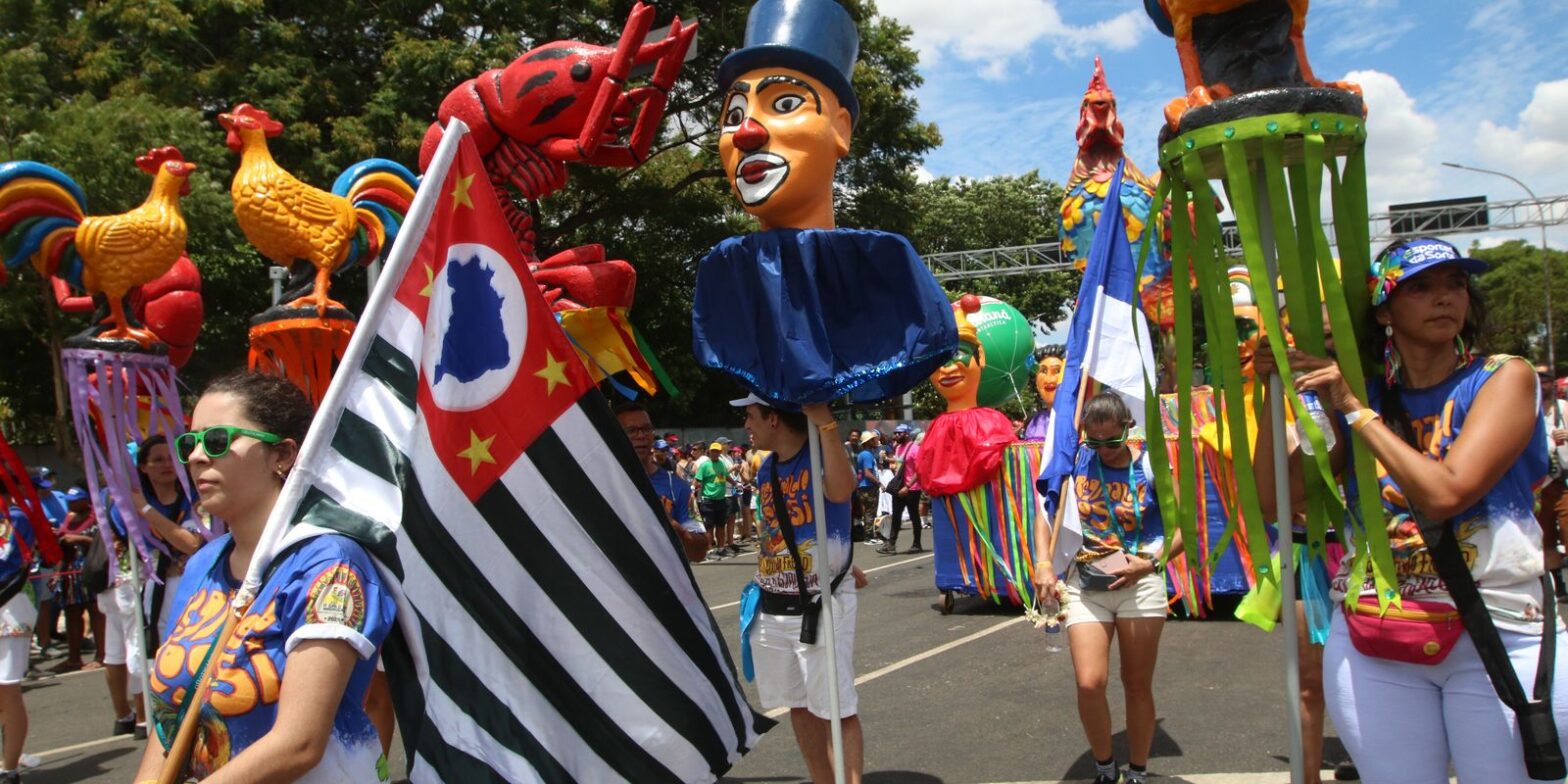 Carnaval de rua de São Paulo bate recorde, com 767 blocos inscritos